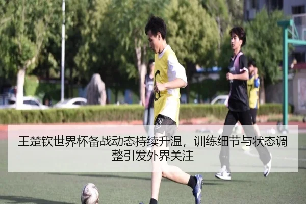 王楚钦世界杯备战动态持续升温，训练细节与状态调整引发外界关注 - maiqiuzhan