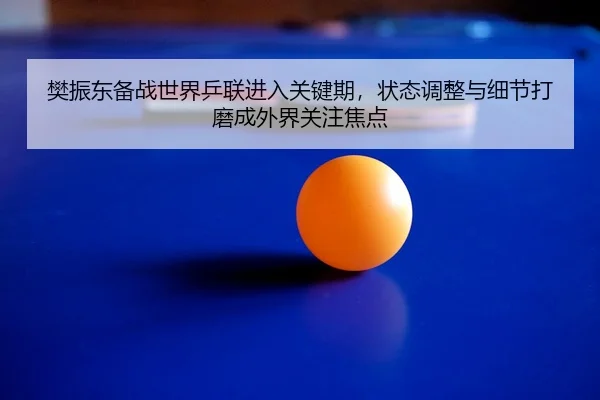 樊振东备战世界乒联进入关键期，状态调整与细节打磨成外界关注焦点